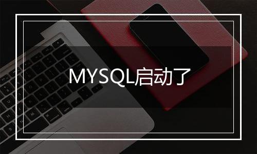 MYSQL启动了