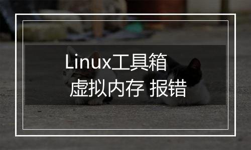 Linux工具箱 虚拟内存 报错