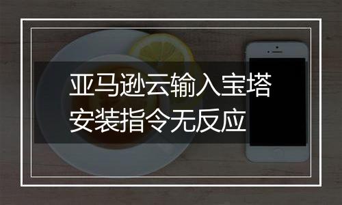 亚马逊云输入宝塔安装指令无反应