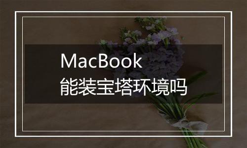 MacBook 能装宝塔环境吗