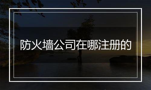防火墙公司在哪注册的