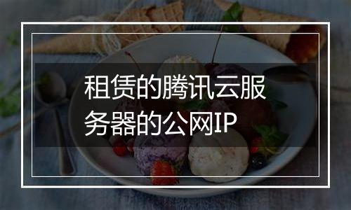租赁的腾讯云服务器的公网IP