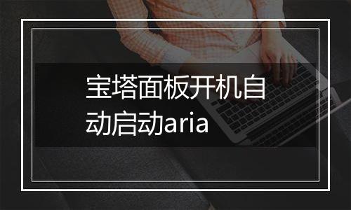宝塔面板开机自动启动aria