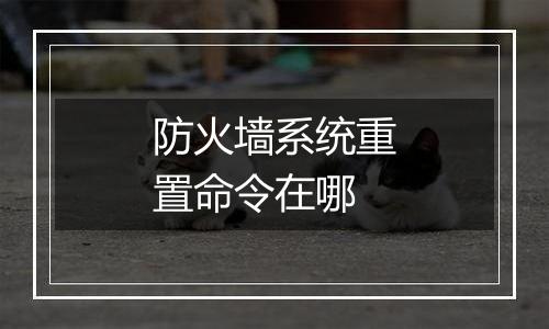 防火墙系统重置命令在哪