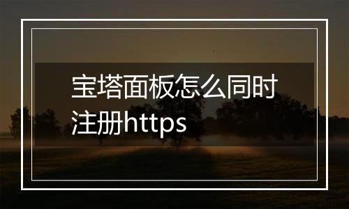 宝塔面板怎么同时注册https