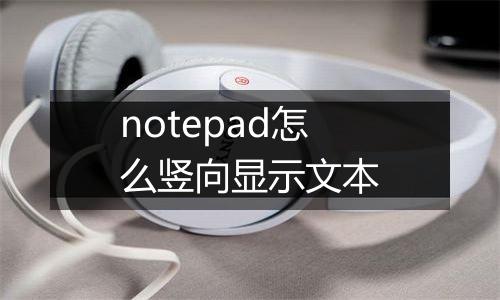 notepad怎么竖向显示文本