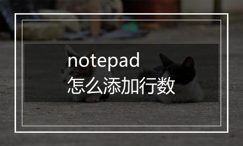 notepad怎么添加行数