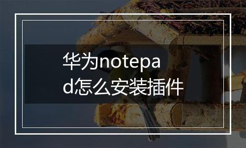 华为notepad怎么安装插件