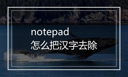 notepad怎么把汉字去除