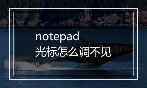 notepad光标怎么调不见