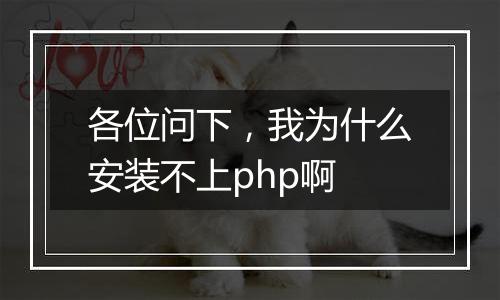 各位问下,我为什么安装不上php啊