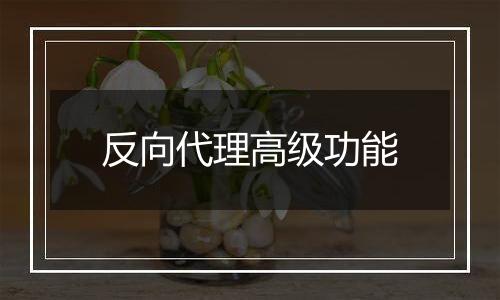 反向代理高级功能