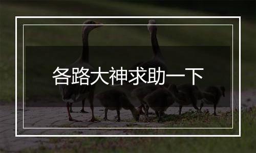 各路大神求助一下