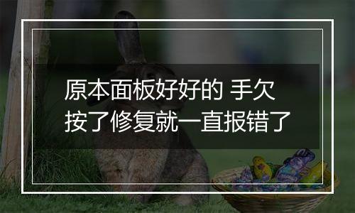 原本面板好好的 手欠按了修复就一直报错了