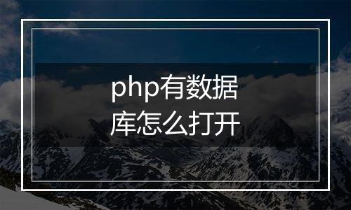 php有数据库怎么打开