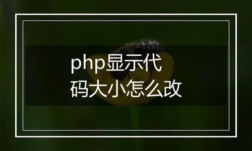 php显示代码大小怎么改