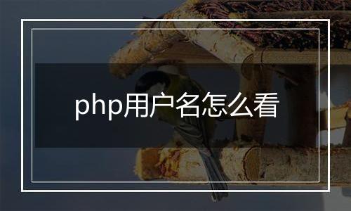 php用户名怎么看