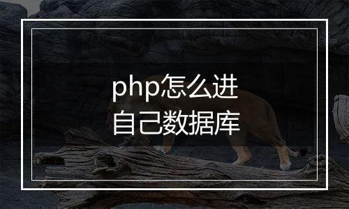 php怎么进自己数据库