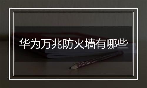 华为万兆防火墙有哪些