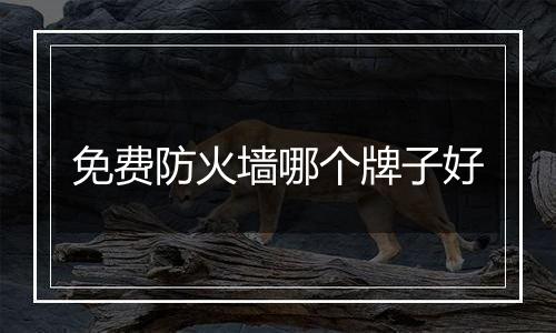免费防火墙哪个牌子好