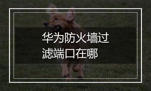 华为防火墙过滤端口在哪