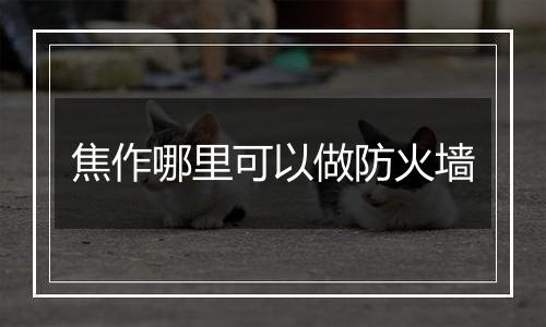 焦作哪里可以做防火墙