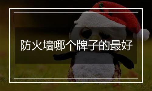 防火墙哪个牌子的最好