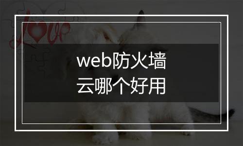 web防火墙云哪个好用