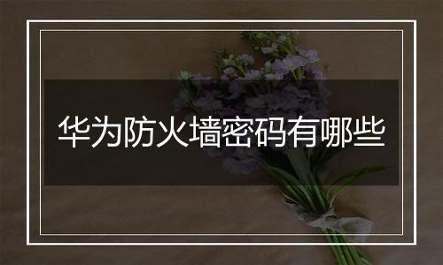 华为防火墙密码有哪些