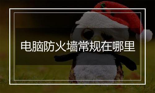 电脑防火墙常规在哪里
