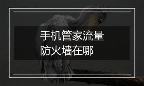 手机管家流量防火墙在哪