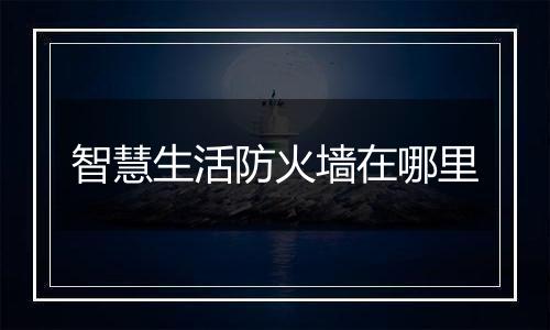 智慧生活防火墙在哪里