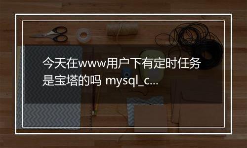 今天在www用户下有定时任务 是宝塔的吗 mysql_check