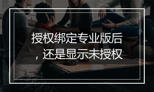 授权绑定专业版后,还是显示未授权