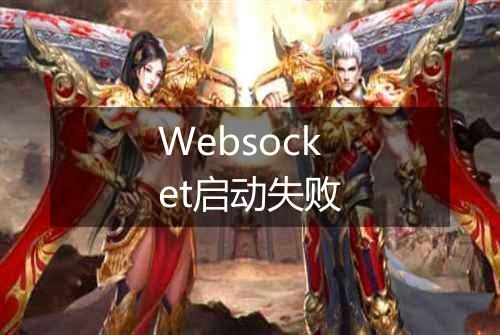 Websocket启动失败
