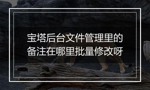 宝塔后台文件管理里的备注在哪里批量修改呀