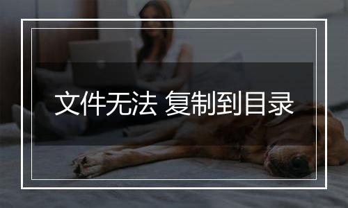 文件无法 复制到目录