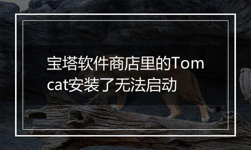 宝塔软件商店里的Tomcat安装了无法启动