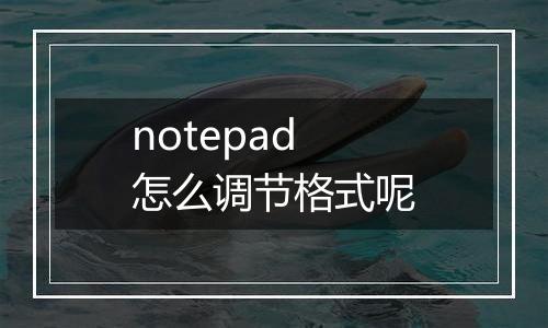 notepad怎么调节格式呢