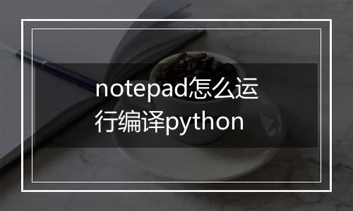 notepad怎么运行编译python