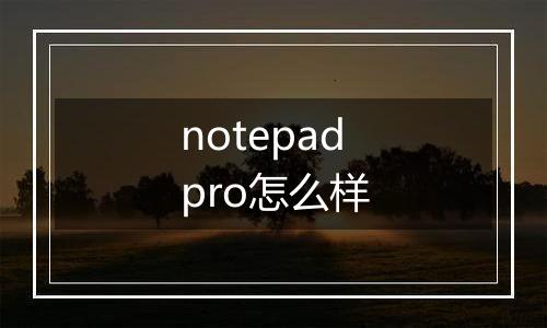 notepadpro怎么样