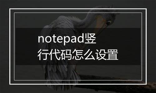 notepad竖行代码怎么设置