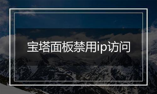 宝塔面板禁用ip访问