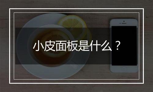 小皮面板是什么?