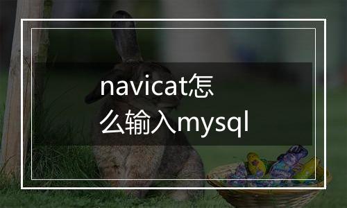 navicat怎么输入mysql