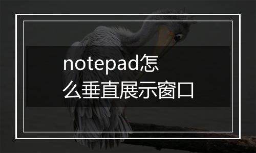 notepad怎么垂直展示窗口