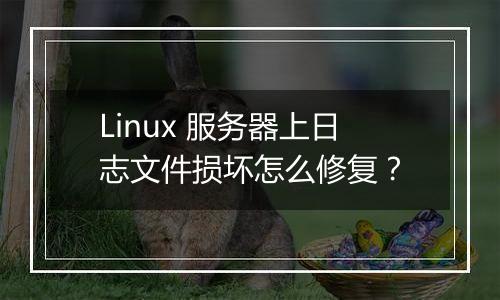 Linux 服务器上日志文件损坏怎么修复?