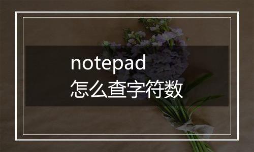 notepad怎么查字符数