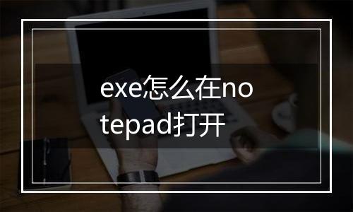 exe怎么在notepad打开