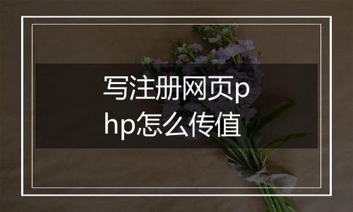 写注册网页php怎么传值